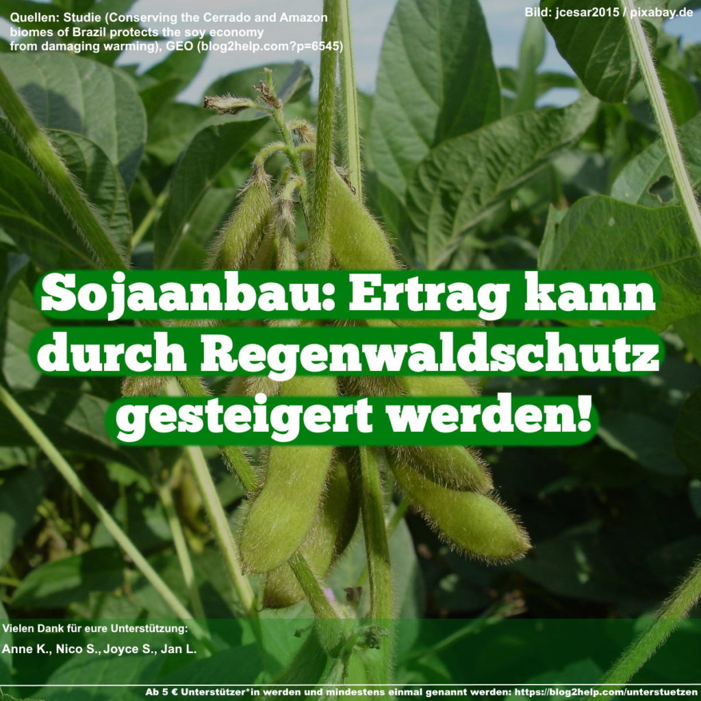 Sojabohne im Hintergrund. Text: "Sojaanbau: Ertrag kann durch Regenwaldschutz gesteigert werden!"