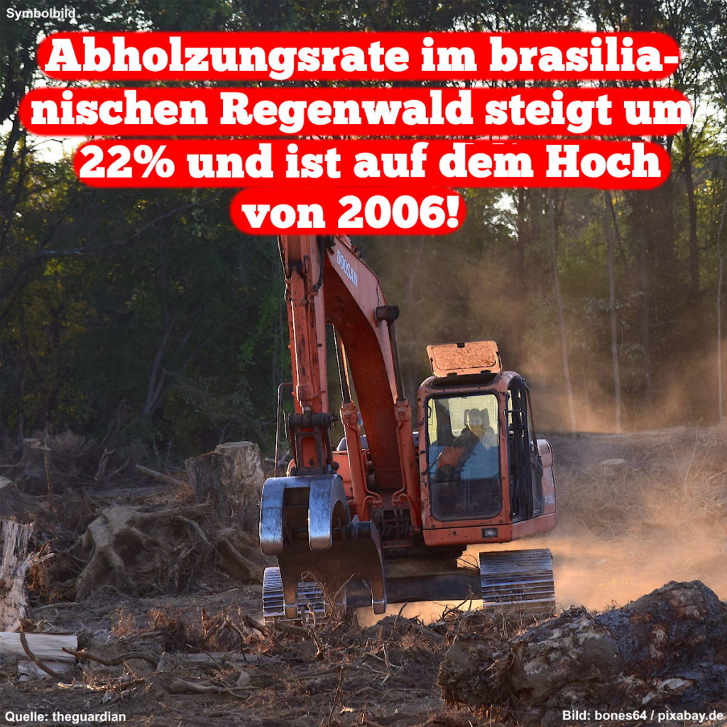 Meme: Im Hintergrund zerstört ein Bagger den Wald. Text im Vordergrund: "Abholzungsrate im brasilianischen Regenwald steig um 22% und ist auf dem Hoch von 2006!"