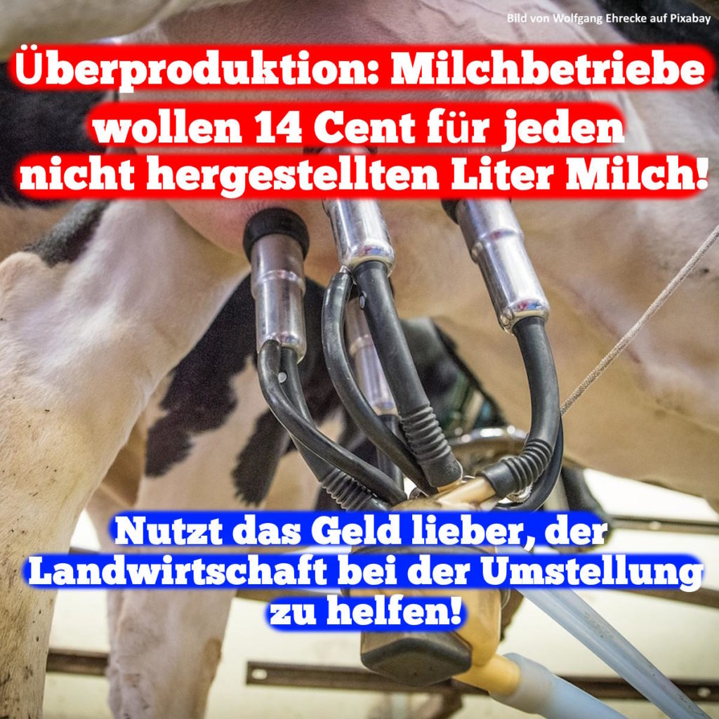 Überproduktion: Milchbetriebe wollen 14 Cent für jeden nicht hergestellten Liter Milch!

Nutzt das Geld lieber, der Landwirtschaft bei der Umstellung zu helfen!